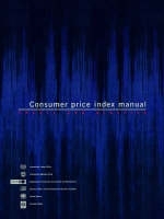 Consumer price index manual -  International Labour Office