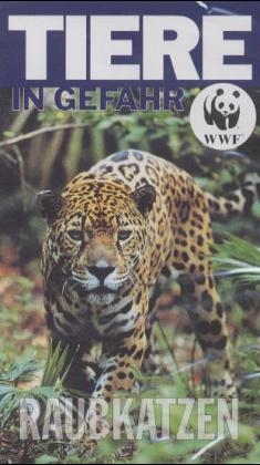 Raubkatzen, 1 Videocassette