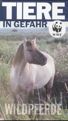 Wildpferde