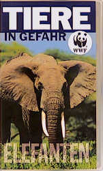 Elefanten, 1 Videocassette