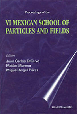 Particles And Fields - Proceedings Of The Vi Mexican School
