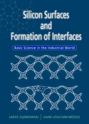 Silicon Surfaces And Formation Of Interfaces: Basic Science In The Industrial World - Jarek Dabrowski, Hans-Joachim Mussig