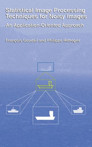 Statistical Image Processing Techniques for Noisy Images