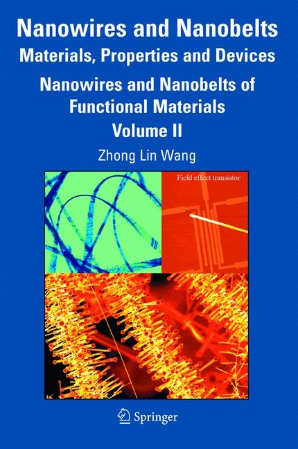 Nanowires and Nanobelts: Materials, Properties and Devices - 