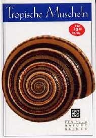 Tropische Muscheln - 