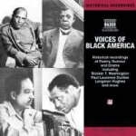 Voices of Black America