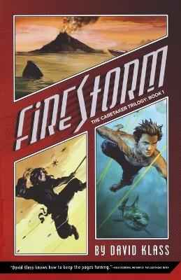 Firestorm - David Klass