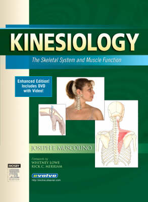Kinesiology - Joseph E. Muscolino