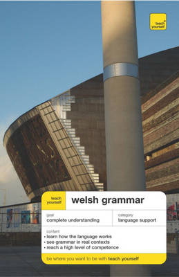 Teach Yourself Welsh Grammar - Christine Jones
