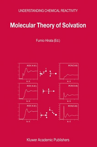 Molecular Theory of Solvation