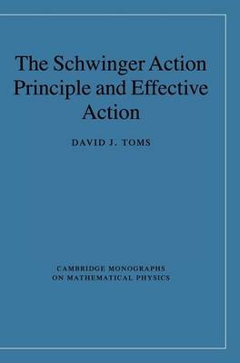 The Schwinger Action Principle and Effective Action - David J. Toms