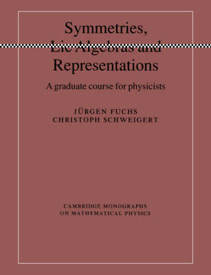 Symmetries, Lie Algebras and Representations