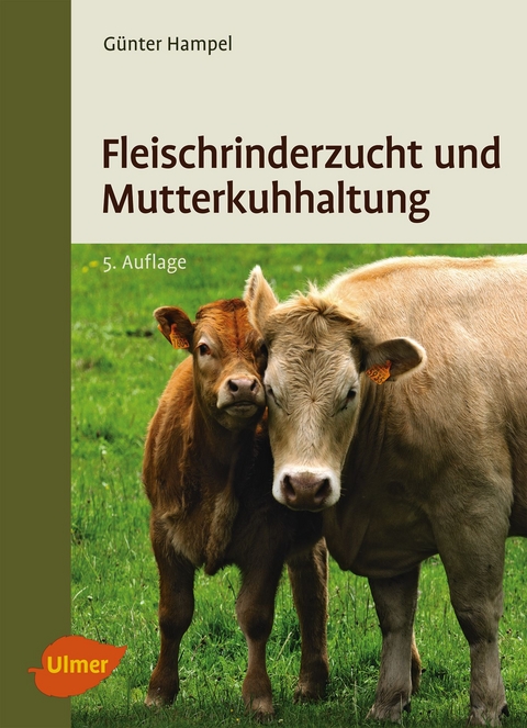Fleischrinderzucht und Mutterkuhhaltung - G&uuml;nter Hampel