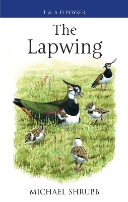 The Lapwing - Michael Shrubb