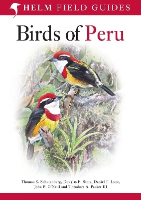 Field Guide to Birds of Peru - Thomas S. Schulenberg, Daniel F. Lane, Douglas F. Stotz, John P. O'Neill, Theodore A. Parker III