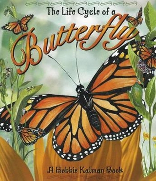 Life Cycle of a Butterfly