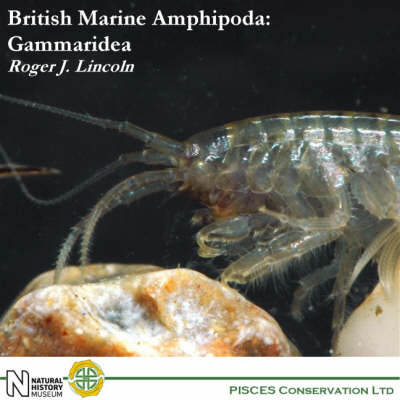 British Marine Amphipoda - R. J. Lincoln