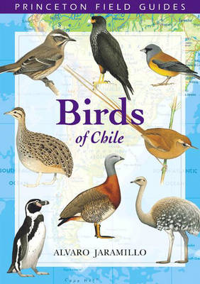 Birds of Chile - Alvaro Jaramillo