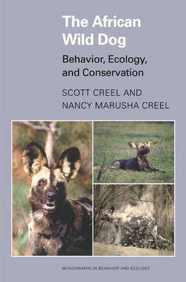 The African Wild Dog - Scott Creel, Nancy Marusha Creel