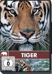 Tiger, 1 DVD
