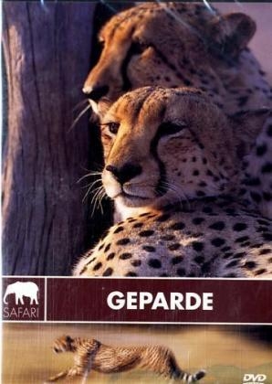 Geparde, 1 DVD