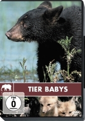 Tier-Babys, 1 DVD