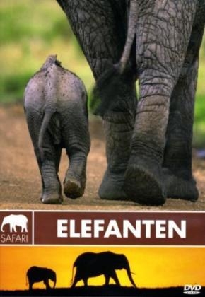 Elefanten, 1 DVD
