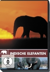 Indische Elefanten, 1 DVD