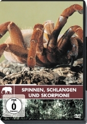 Spinnen, Schlangen und Skorpione, 1 DVD