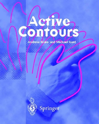 Active Contours