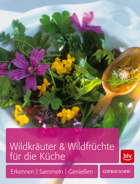 Wildkr&auml;uter & Wildfr&uuml;chte f&uuml;r die K&uuml;che - Gertrud Scherf