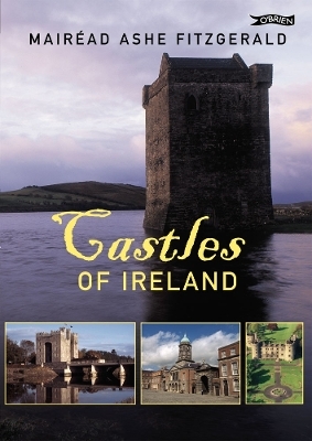 Castles of Ireland - Mair&eacute;ad Ashe FitzGerald