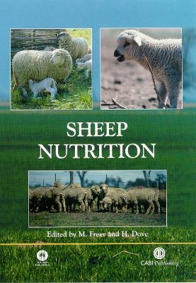 Sheep Nutrition - 