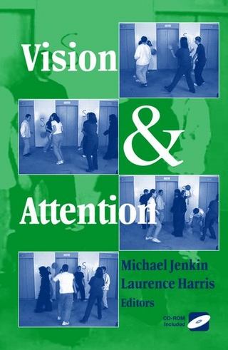 Vision and Attention