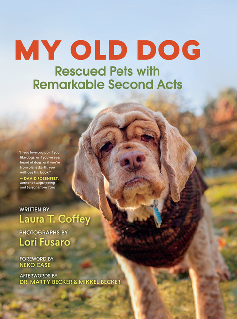 My Old Dog - Laura T. Coffey