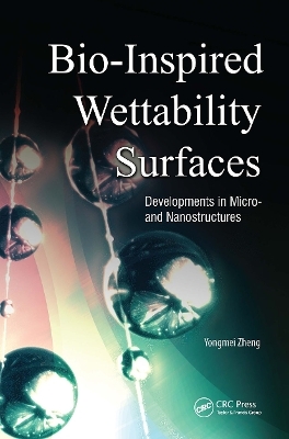Bio-Inspired Wettability Surfaces - 