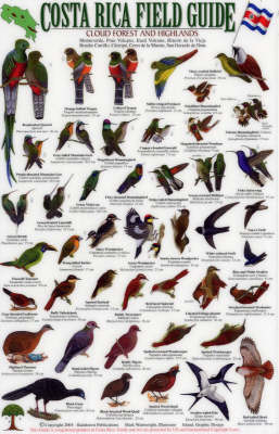 Birds of the Cloud Forest and Highlands - Mark Wainwright