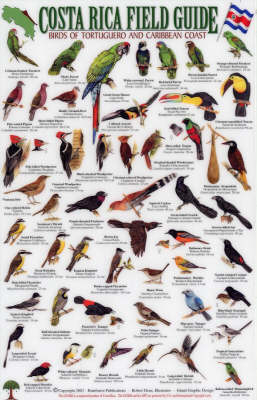 Birds of Tortuguero and the Caribbean Coast