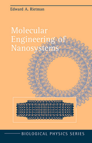Molecular Engineering of Nanosystems