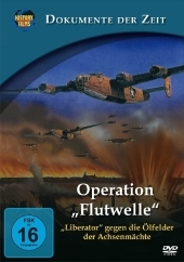 Operation Flutwelle - 