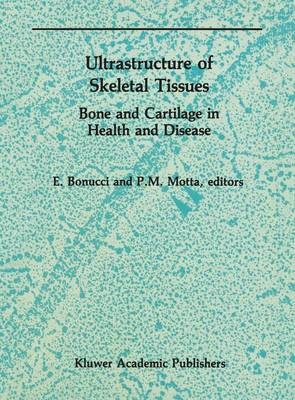 Ultrastructure of Skeletal Tissues