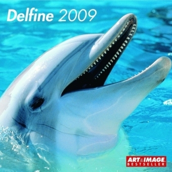 The Aston Martin Book, Small Format Edition - Ren&eacute; Staud