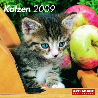 Typisch German - Nina Zywietz, Silke Wichert