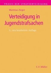 Verteidigung in Jugendstrafsachen