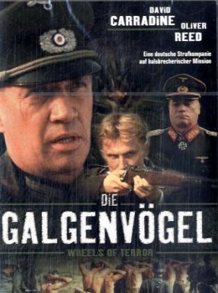 Die Galgenvögel, DVD