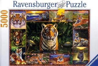 Welt der Tiger (Puzzle)