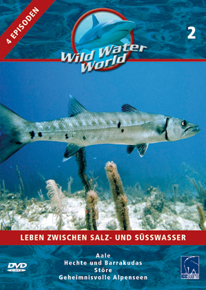 Leben zwischen Salz- und Süßwasser, 1 DVD