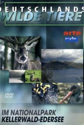 Im Nationalpark Kellerwald-Edersee, 1 DVD