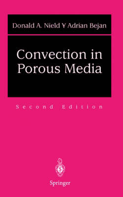Convection in Porous Media