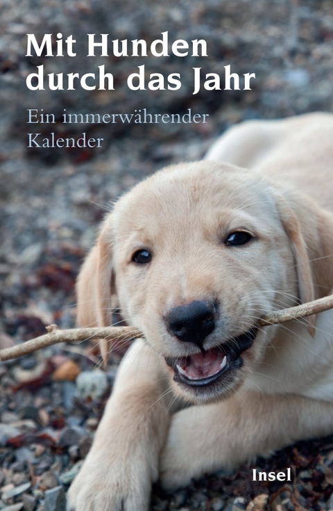Mit Hunden durch das Jahr - 